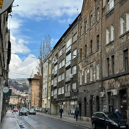 Lilium * Sarajevo